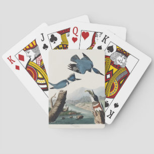 Baraja De Cartas Arte de pájaro Martín pescador cintado de Audubon