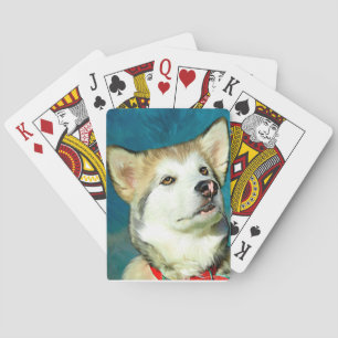 Baraja De Cartas Arte de perro en Malamute