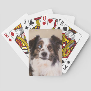 Baraja De Cartas Arte de pintura de aceite de perro pastor australi