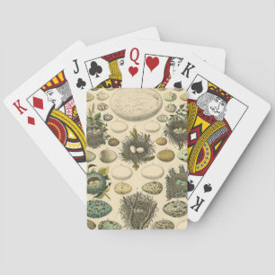 Baraja De Cartas Arte de pintura de nido de huevo de ave vintage Hi