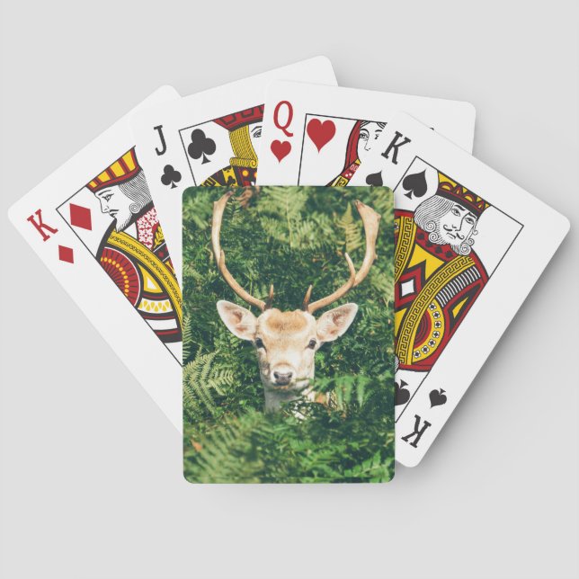 Baraja De Cartas Asoma un venado  (Reverso)