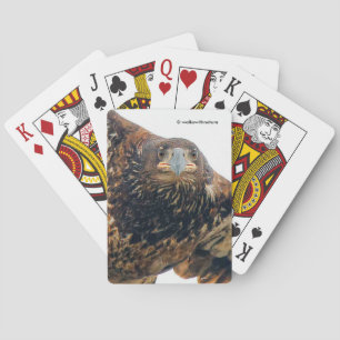 Baraja De Cartas Asombroso águila calva viaja