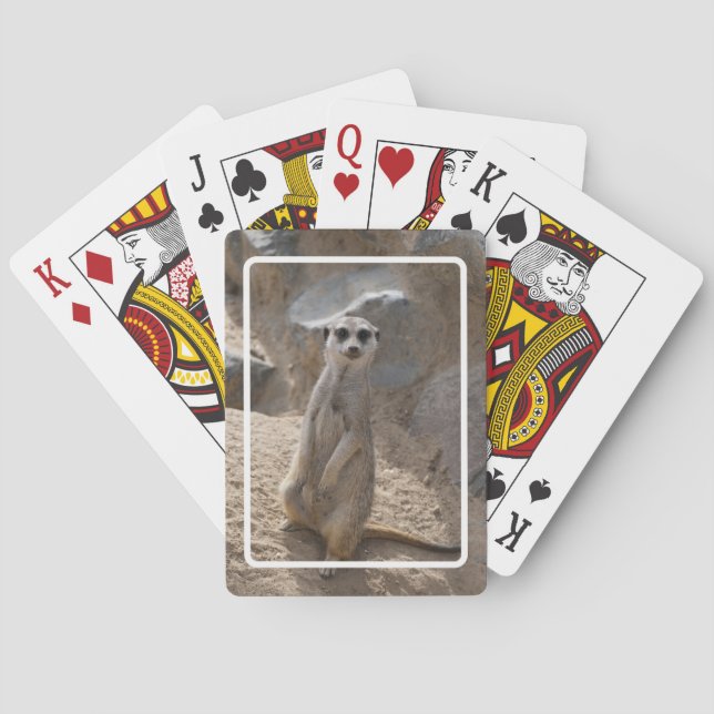 Baraja De Cartas Asombroso Meerkat (Reverso)