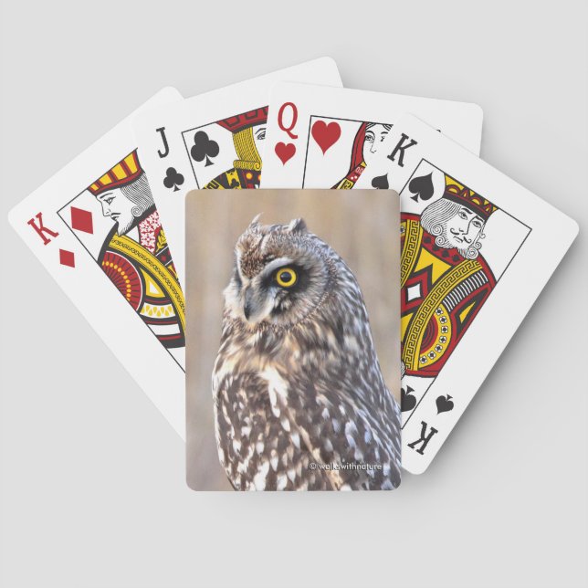 Baraja De Cartas Asombroso retrato de una lechuza de corta edad (Reverso)