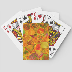 Baraja De Cartas Aspen Deja Collage Sólido Medley 1