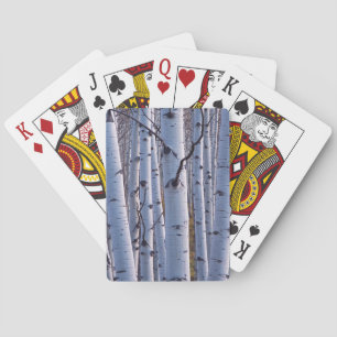 Baraja De Cartas Aspens en el Parque Nacional Gunnison