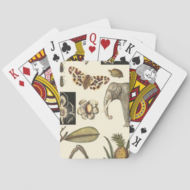 Baraja De Cartas Assorted Animals Painted on Cream Background (Reverso)