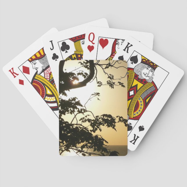 Baraja De Cartas Atardecer a través de árboles II Fotografía tropic (Reverso)