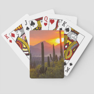 Baraja De Cartas Atardecer de cactus del desierto, Arizona