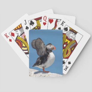 Baraja De Cartas Atún de aleta atlántica en Machias, ME
