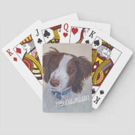 BARAJA DE CARTAS AUBURN SETTER MIX
