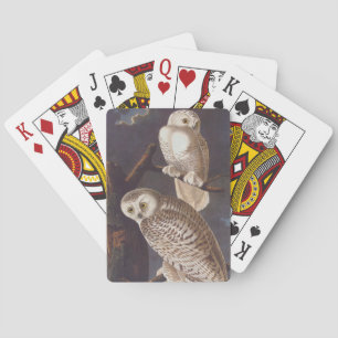 Baraja De Cartas Audubon Lechuzas Blancas Nevadas en una noche nubl