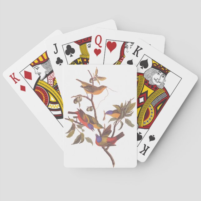 Baraja De Cartas Audubon pájaros empapados en una ciruela de Cherok (Reverso)