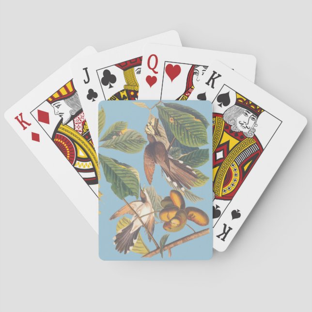 Baraja De Cartas Audubon Yellow Bilckoo (Reverso)