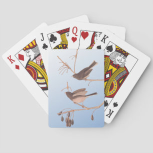 Baraja De Cartas Audubon's Snow Birds on Winter Tree and Blue Sky P
