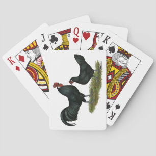 Baraja De Cartas Augsburger Chickens