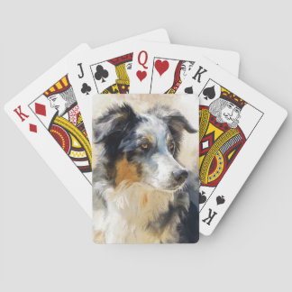 Baraja De Cartas Australian shepherd dog portrait