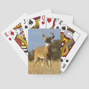 Baraja De Cartas Autumn Whitetail Buck