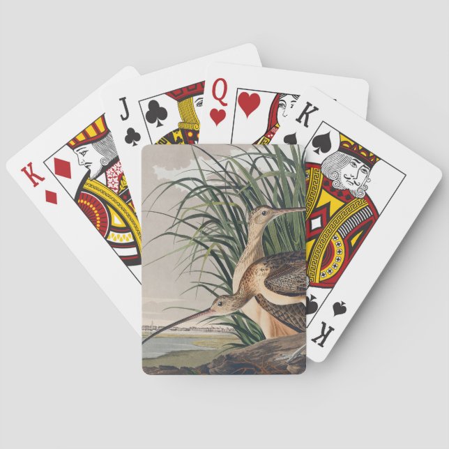 Baraja De Cartas Ave Audubon (Reverso)