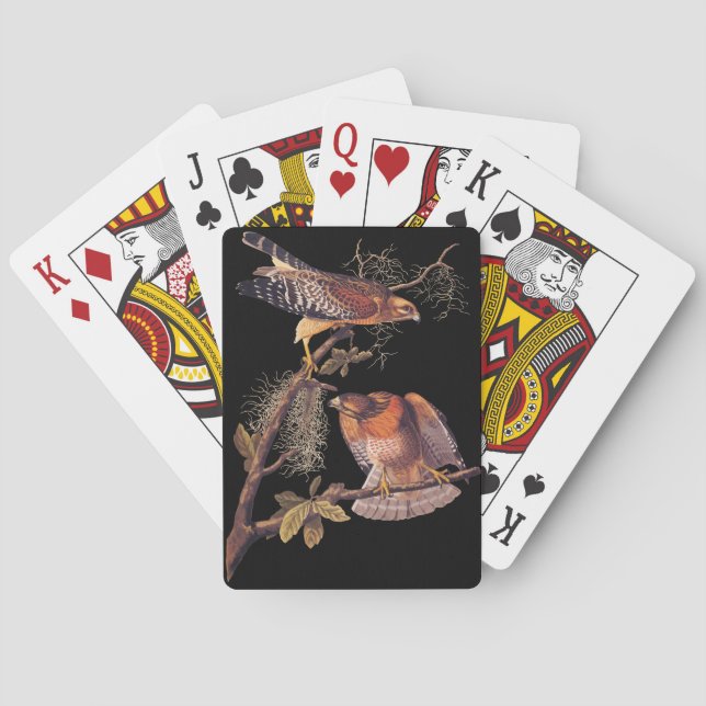 Baraja De Cartas Ave Audubon de Halcón Rojo de Prey (Reverso)