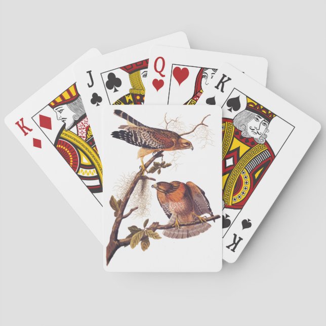 Baraja De Cartas Ave Audubon de Halcón Rojo de Prey (Reverso)
