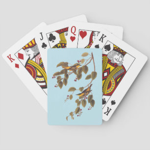 Baraja De Cartas Ave Audubon de la Warbler Carbonada