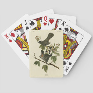 Baraja De Cartas Ave gata (pájaro grisáceo) Aves de América de Audu