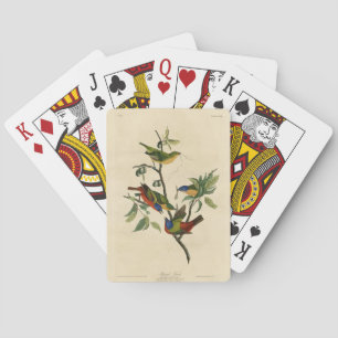 Baraja De Cartas Aves de América de Finch (Bunting) pintadas