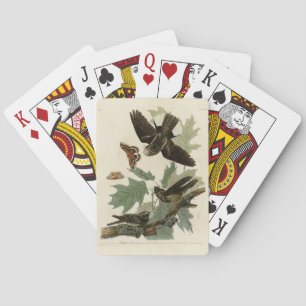 Baraja De Cartas Aves de América, patán de Audubon