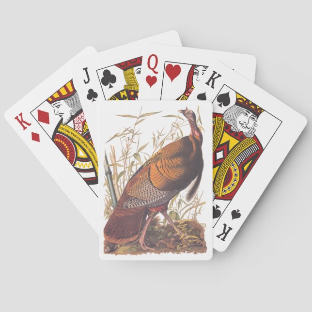 Baraja De Cartas Aves de Audubon de Estados Unidos salvajes Turquía (Reverso)