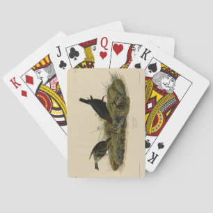 Baraja De Cartas Aves de corral (ave bovina) Aves de América de Aud