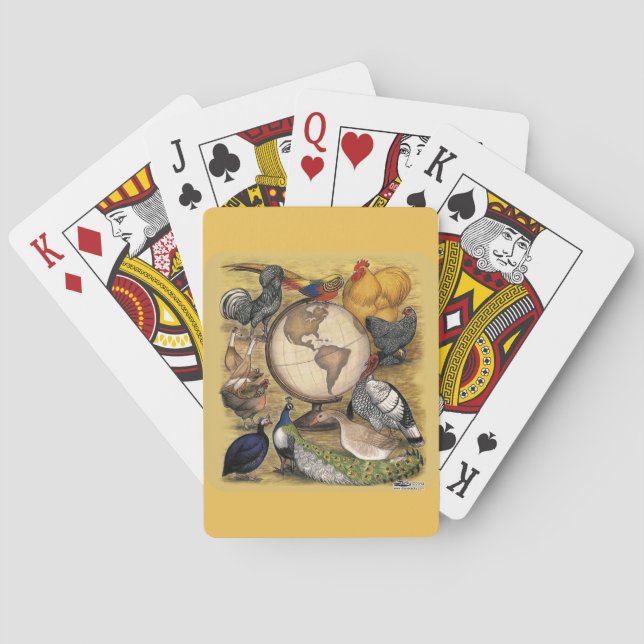 Baraja De Cartas Aves de corral del mundo (Reverso)
