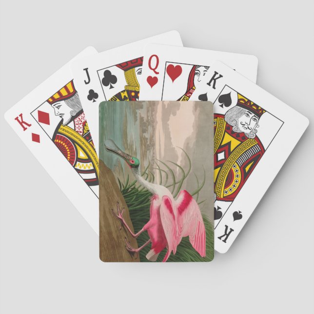 Baraja De Cartas Aves de la cucharada de Roseate para la impresión  (Reverso)