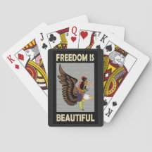 Aves hermosas volando