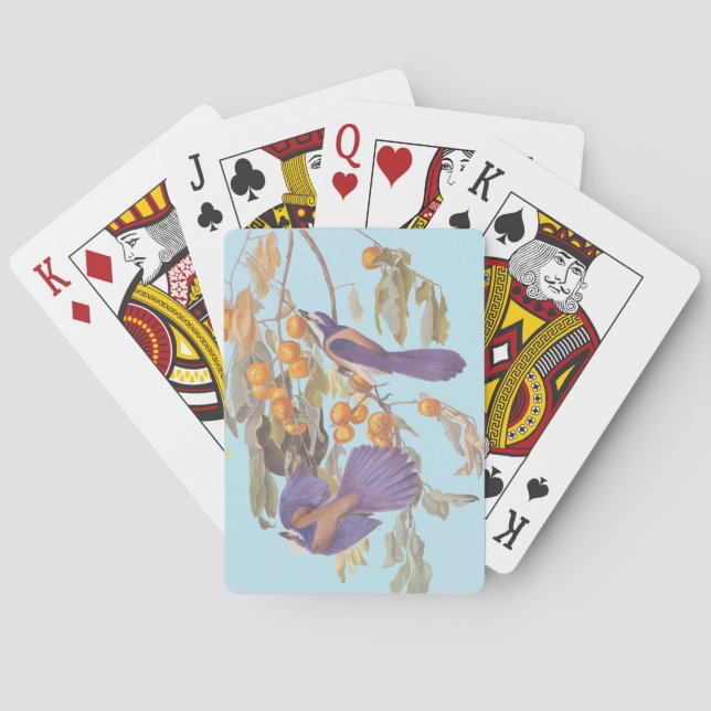 Baraja De Cartas Aves Jay Audubon con Naranjas, crujiente de la Flo (Reverso)