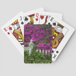 Baraja De Cartas Azaleas en primavera en el histórico Isle of Hope