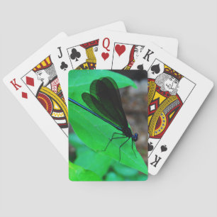 Baraja De Cartas Azul de Damselfly sobre una hoja verde.
