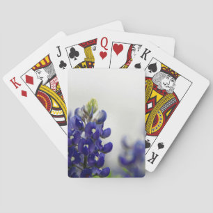 Baraja De Cartas azul del bluebonnet