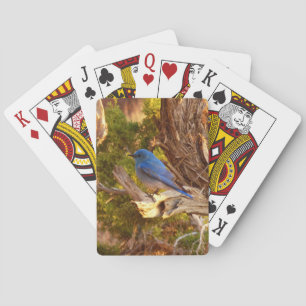 Baraja De Cartas Azulejo Montañés en el Parque Nacional Arches