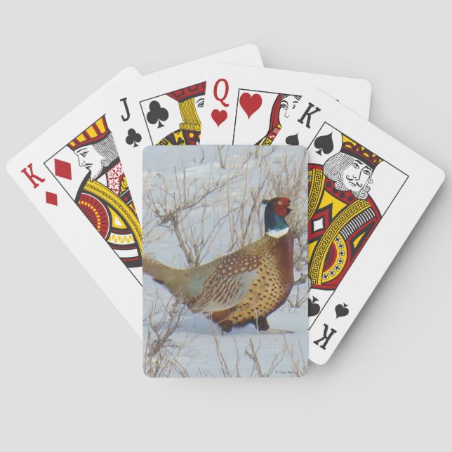Baraja De Cartas B22 Faisán de collar en la nieve (Reverso)