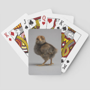 Baraja De Cartas Baby Chicken