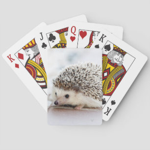 Baraja De Cartas Baby Hedgehog