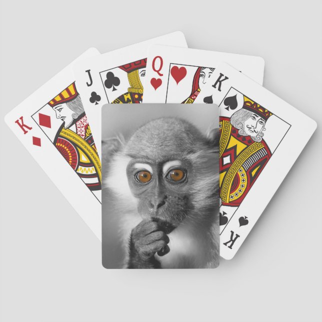 Baraja De Cartas Baby Mangabey Monkey (Reverso)