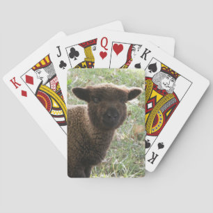 Baraja De Cartas Babydoll Southdown Lamb