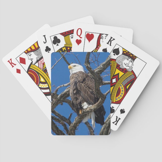 Baraja De Cartas Bald Eagle (Reverso)