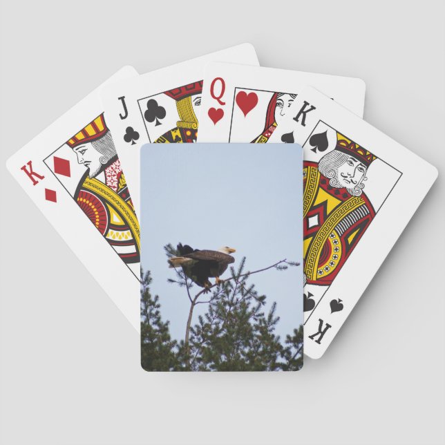 Baraja De Cartas Bald Eagle (Reverso)