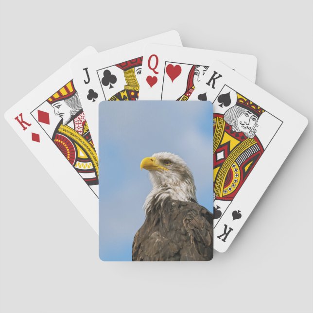 Baraja De Cartas Bald Eagle (Reverso)