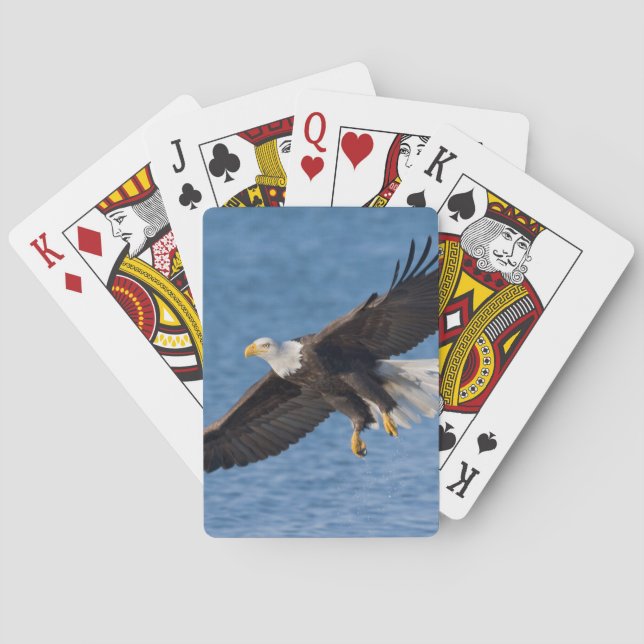 Baraja De Cartas Bald eagle in flight (Reverso)