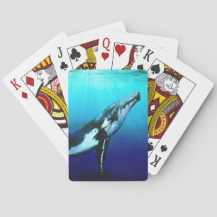 Baraja De Cartas Ballena jorobada