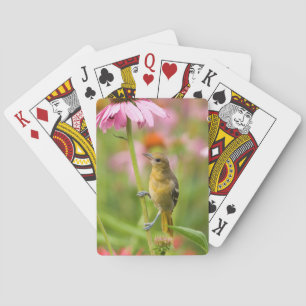 Baraja De Cartas Baltimore Oriole